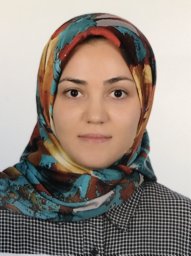 Salari Mehri