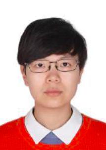 Meng Yang