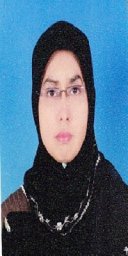 Yasmin Mohd Yacob