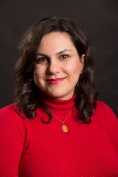 Fereshteh S. Bashiri