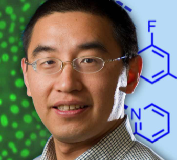 Haifeng Gao