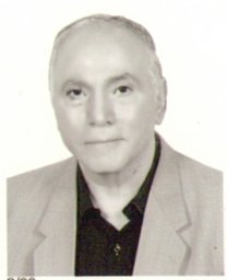 Adel Mohsen