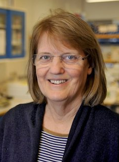 Valgerdur Andrésdóttir
