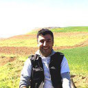 Ali Mohammadi