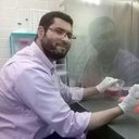 Waleed M Arafa