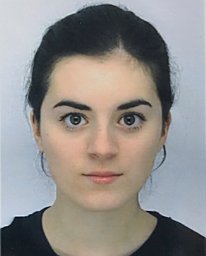 Camille Palmier