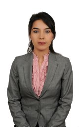 Gülsün Özdemir Aydın