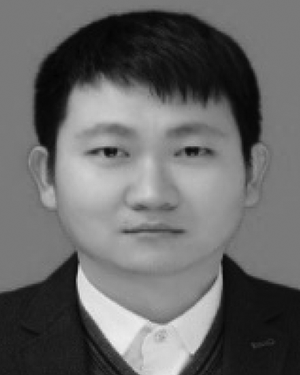 Wenli Li
