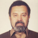 V. N. Denisov