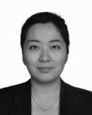 Li Sun