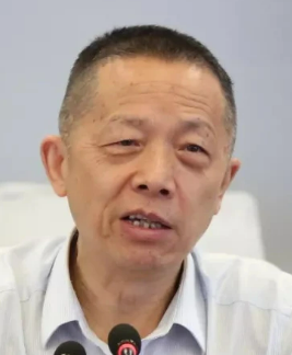 Zongzhi Long