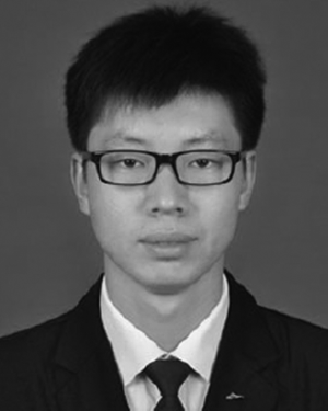 Zhitong Chen