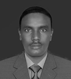 Abdelmoneim Bakur