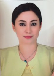 Dashti Parisa