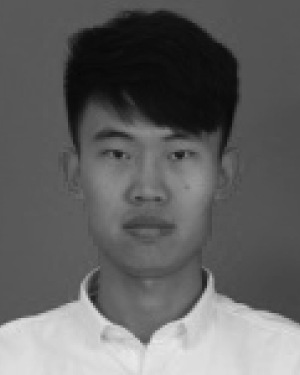 Sai Li