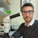 Jean-David Chapelin-Viscardi