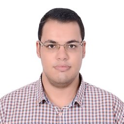 Mahmoud S. Mahmoud