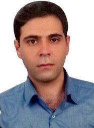 Seyed Mahmoud Hashemi