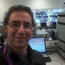 Eli Jacoby