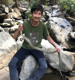 Kai Wang