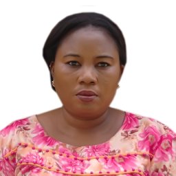 M. A. Adejumobi
