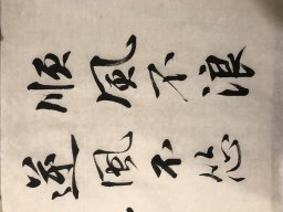 Cui Xin