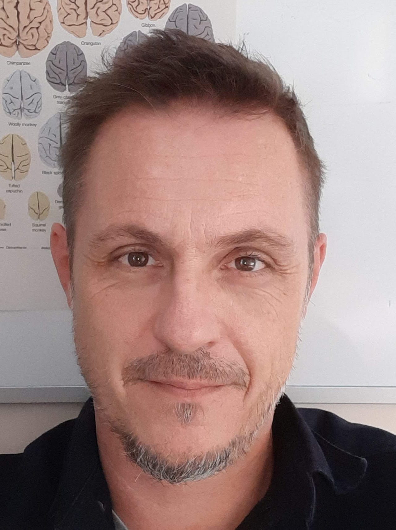 Olivier Coulon