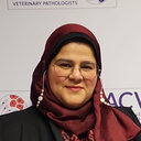 Nelly Elshafie