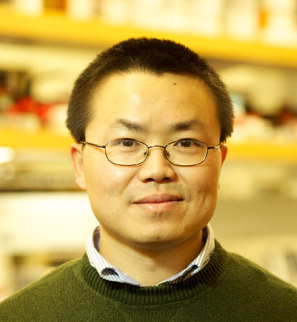Yadong Yin