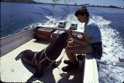 Patrick W Moore