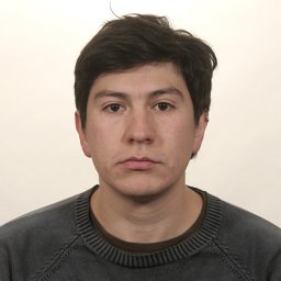 Andrés E Quiñones