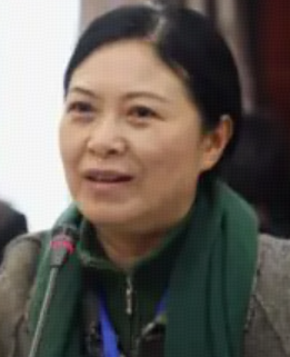 Aijing Luo