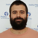 Martin Sonora