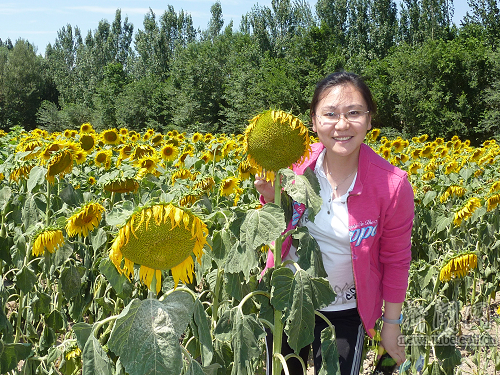 Yuan Gao