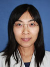 Hang Li