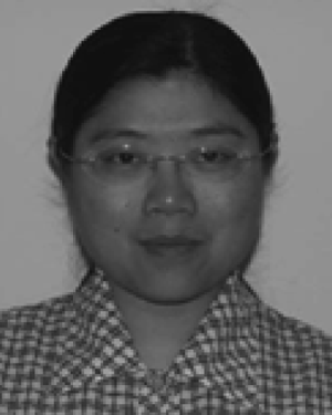 Wenping CHENG