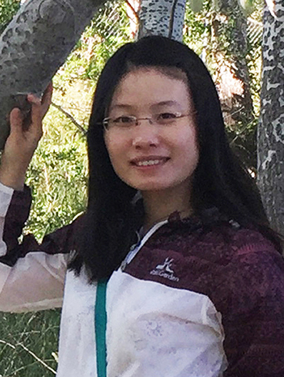 Limin Lu