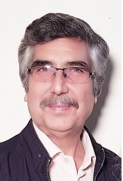 Mansour Ghalehnovi