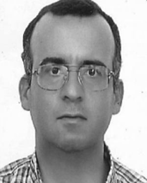 Ali Mansour