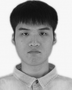 Shuai Wang