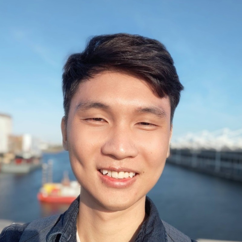 The Viet Bui