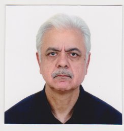 Vinod K Malik