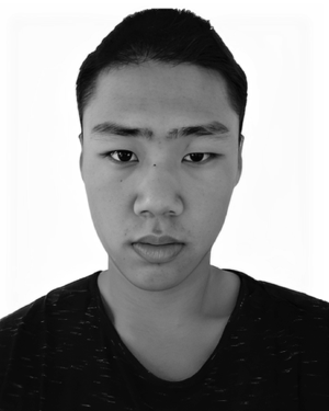 Bingchao Zhao