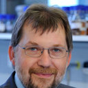 Bernd Traupe