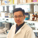 Hongshuai Li