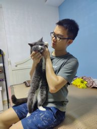 Lin Han