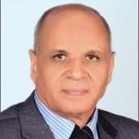 Mohamed E. Nasr