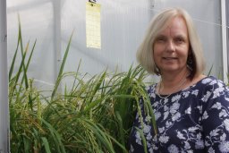 Kathleen L. Soole
