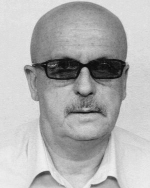 Mesud Hadzialic