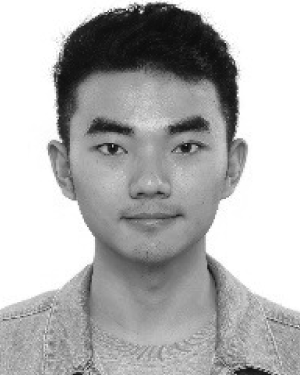 Qiang Wang